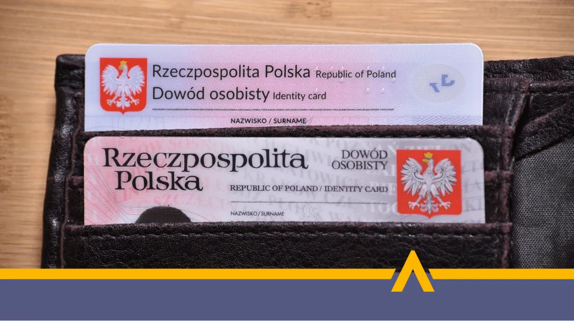 Zbliżenie na dwa polskie dowody osobiste włożone do skórzanego portfela